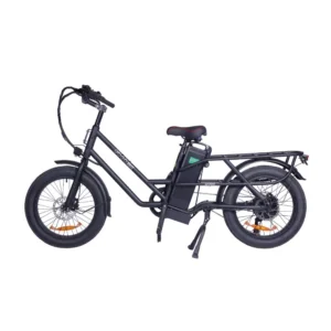 GF200 E-Bike 48 V 15,6 Ah, hydraulische Bremsen, 80 km, 200 kg