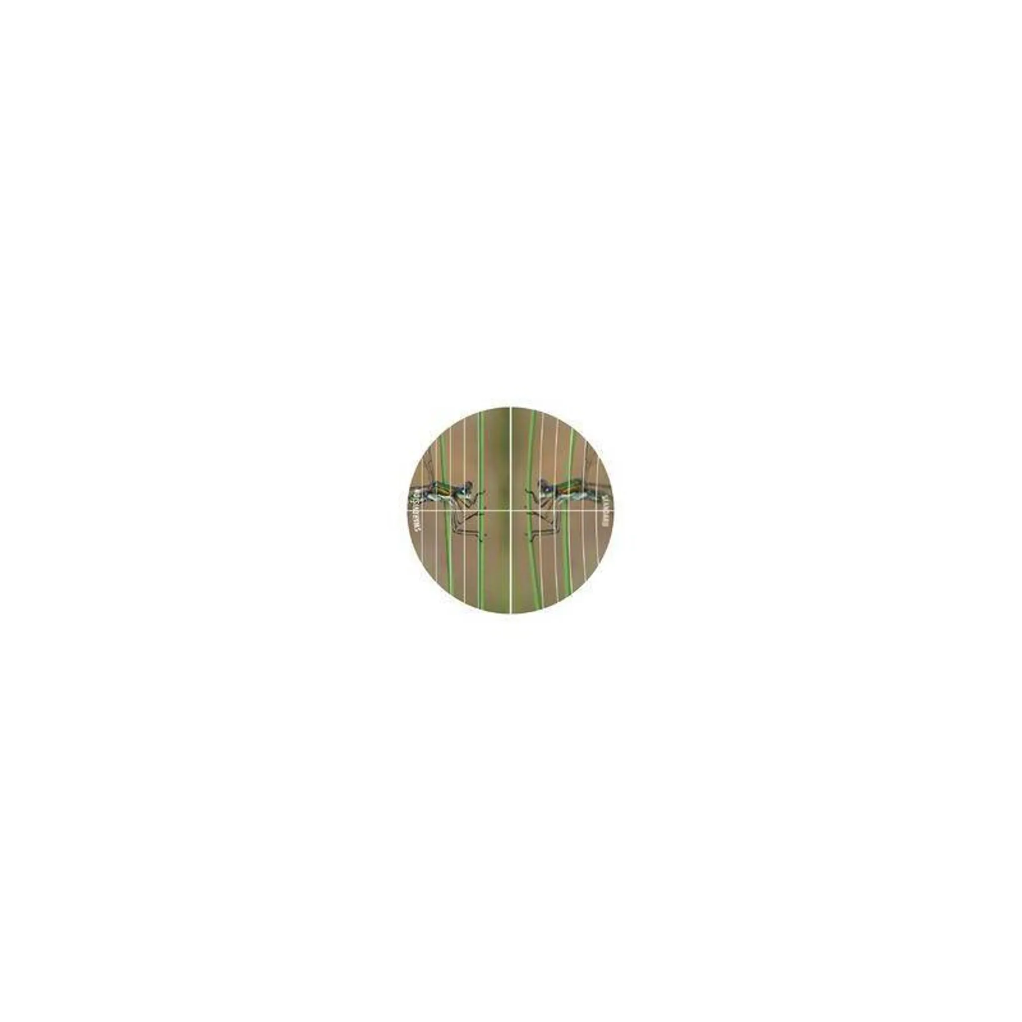 SWAROVSKI Module objectif ATX/STX/BTX 85mm – Bild 3