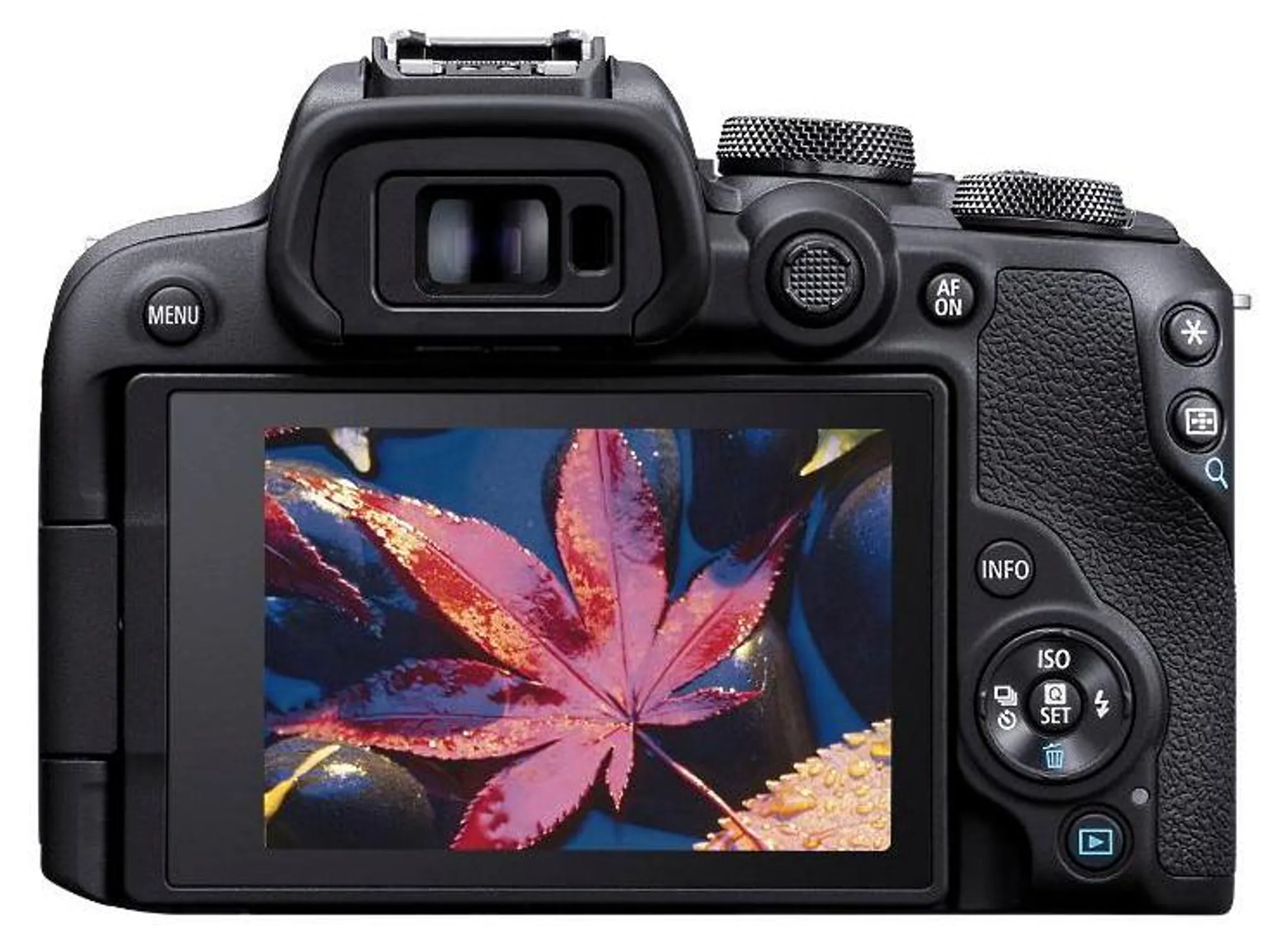 CANON EOS R10 + RF-S 18-45mm f/4.5-6.3 IS STM – Bild 9