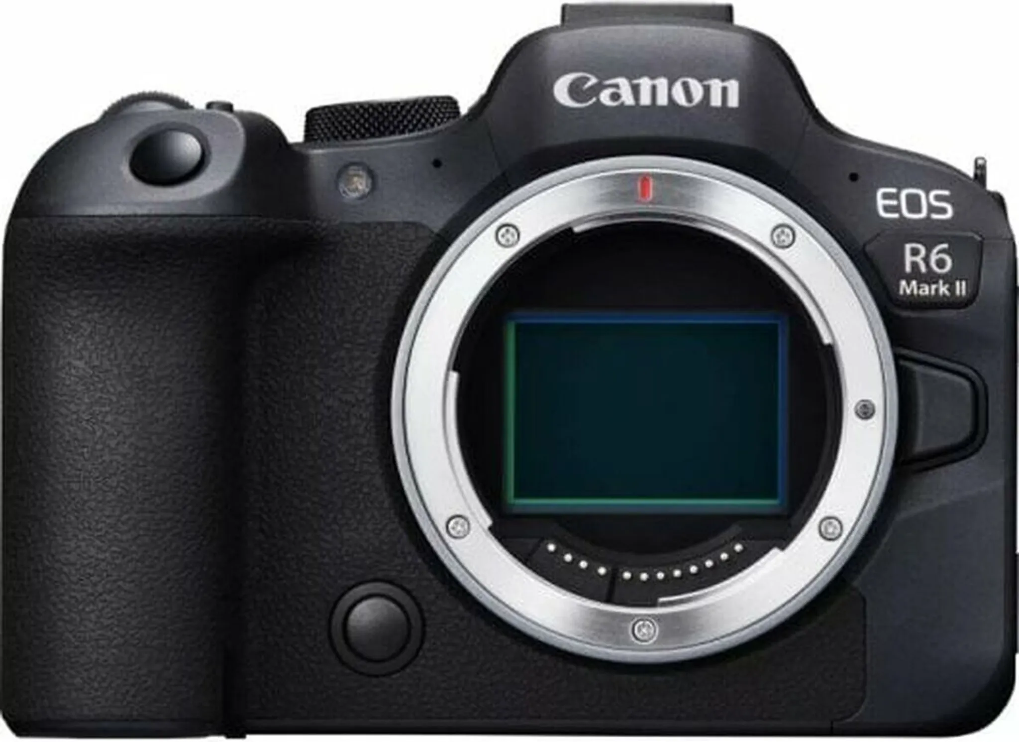CANON EOS R6 MARK II + RF 24-105mm f/4-7.1 IS STM – Bild 4
