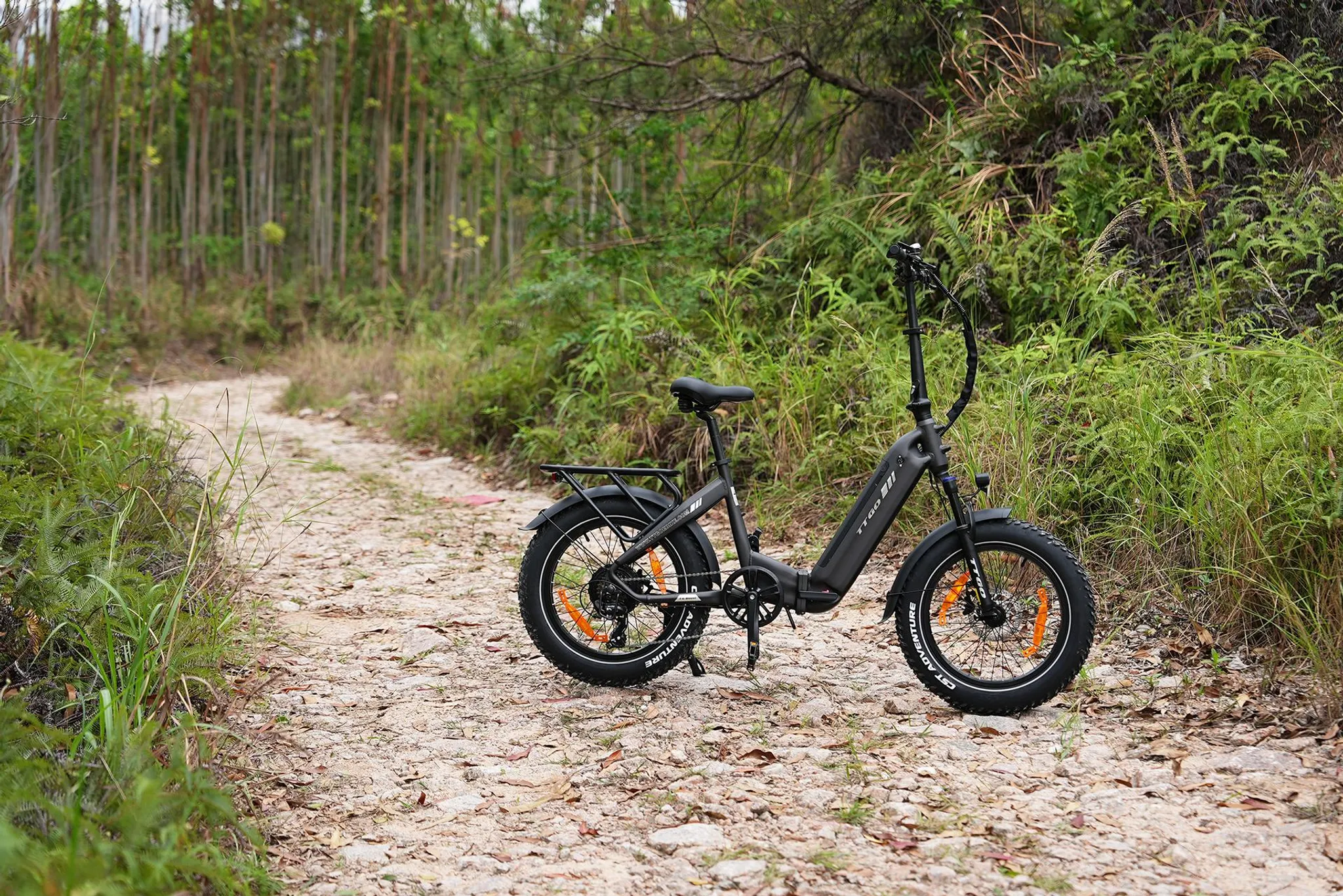 Falt-E-Bike 48 V 18 Ah, 20 x 4,0 Zoll Fat Tire, 70 Nm, 140 km – Bild 3