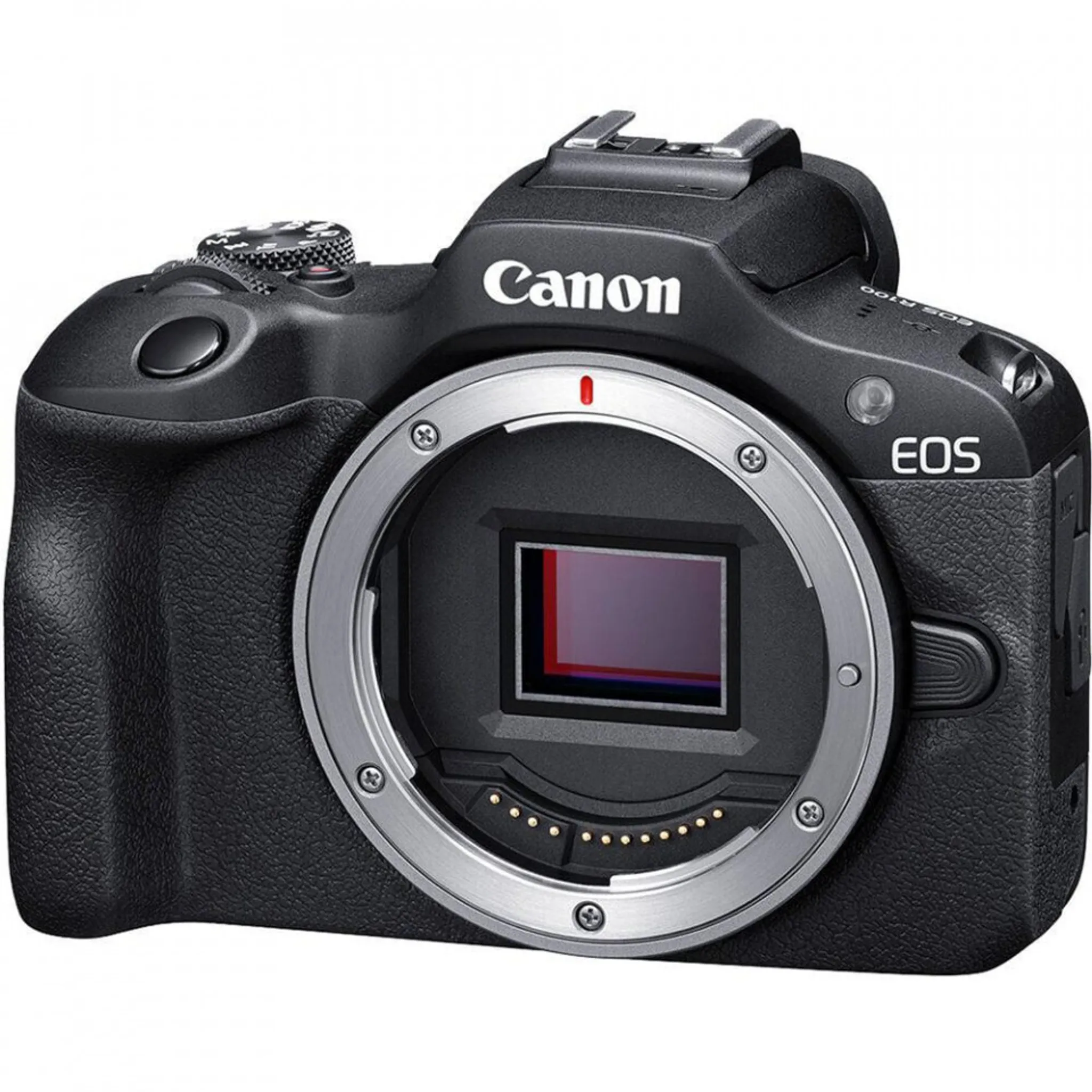 Canon EOS R100 + RF-S 18-45 mm + RF-S 55-210 mm Doppelzoom-Set – Bild 7