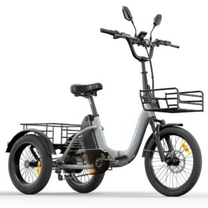 CYSUM AG1 Pro E-Bike 48 V 20 Ah, 20-Zoll-Reifen, Grau