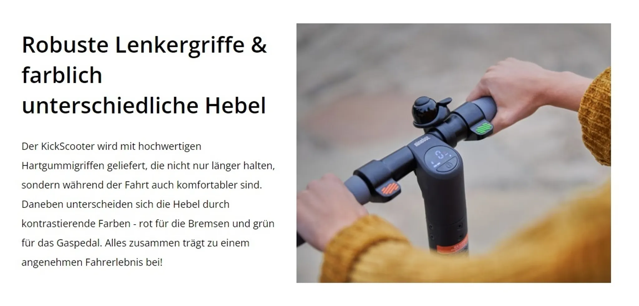Segway Ninebot KickScooter E45D Elektroroller – Bild 2