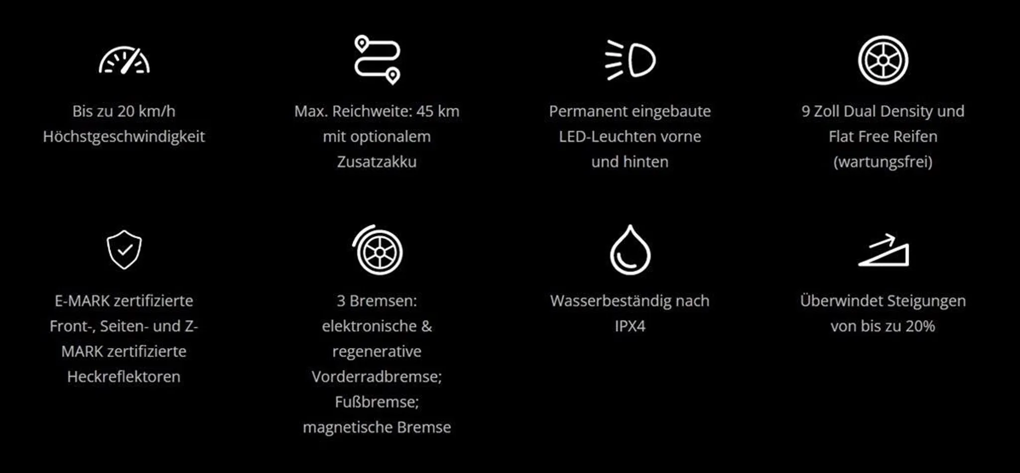 Segway Ninebot KickScooter E45D Elektroroller – Bild 14