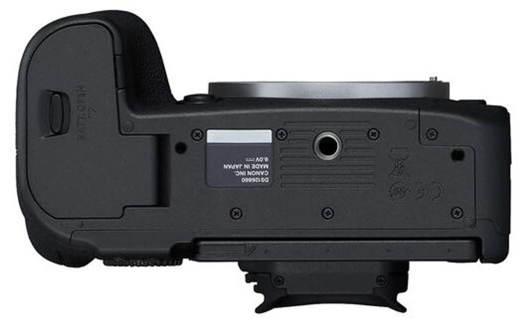CANON EOS R6 MARK II + RF 24-105mm f/4-7.1 IS STM – Bild 7