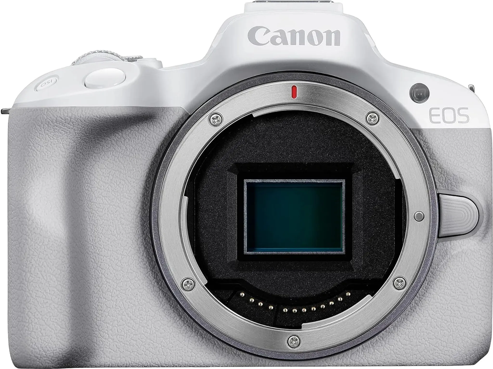 Canon EOS R50, White + RF-S 18-45mm F4.5-6.3 IS STM Kit – Bild 5