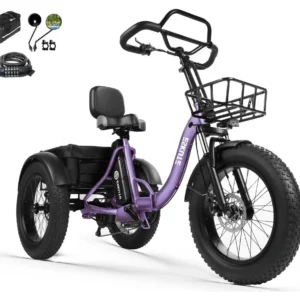 ESKUTE T302 Pro E-Bike 250 W, 48 V 20,8 Ah, Violett, mit Zubehör