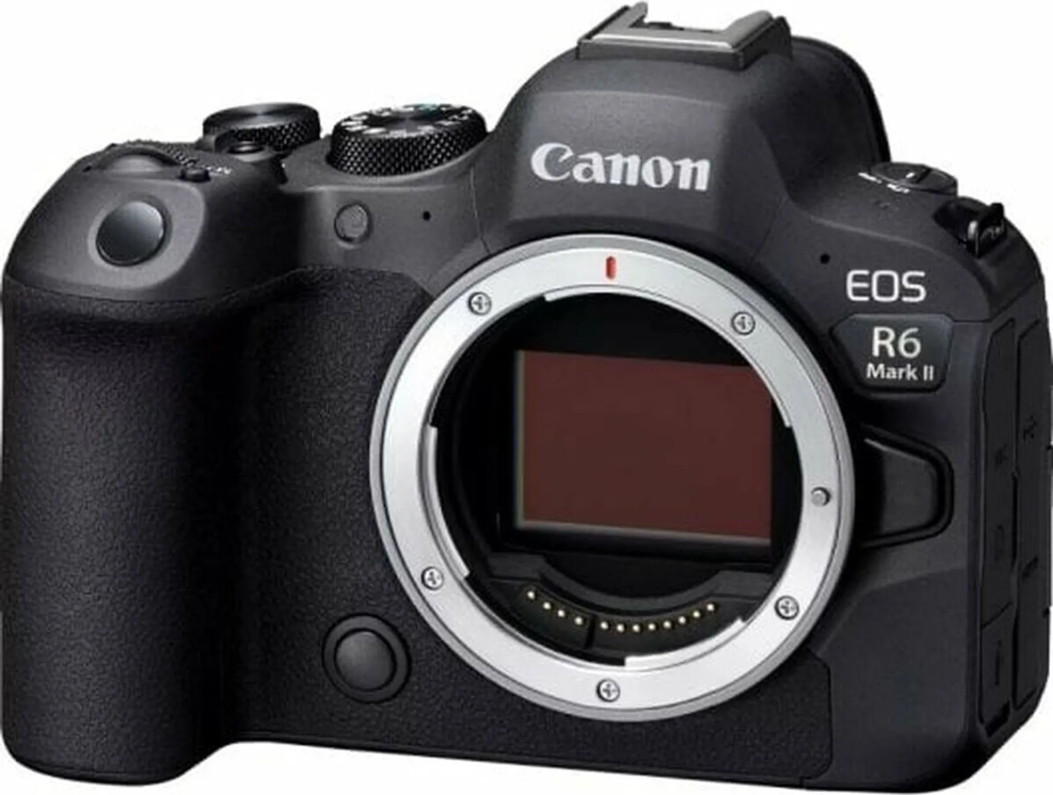 CANON EOS R6 MARK II + RF 24-105mm f/4-7.1 IS STM