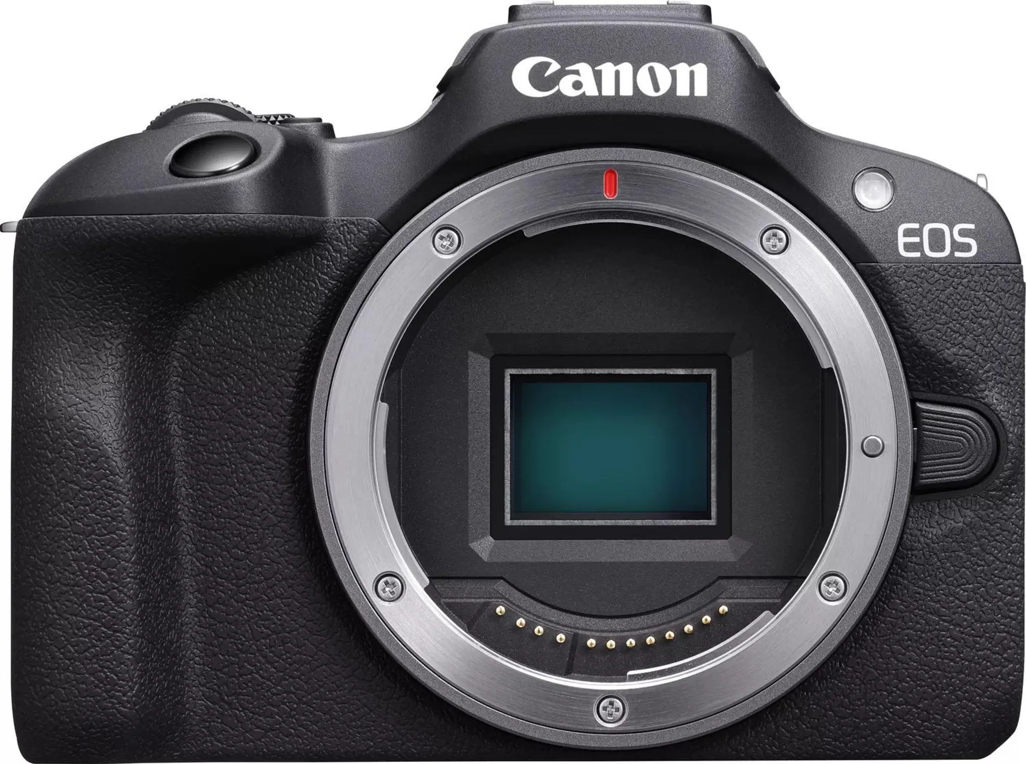 Canon EOS R100 + RF-S 18-45 mm + RF-S 55-210 mm Doppelzoom-Set – Bild 16