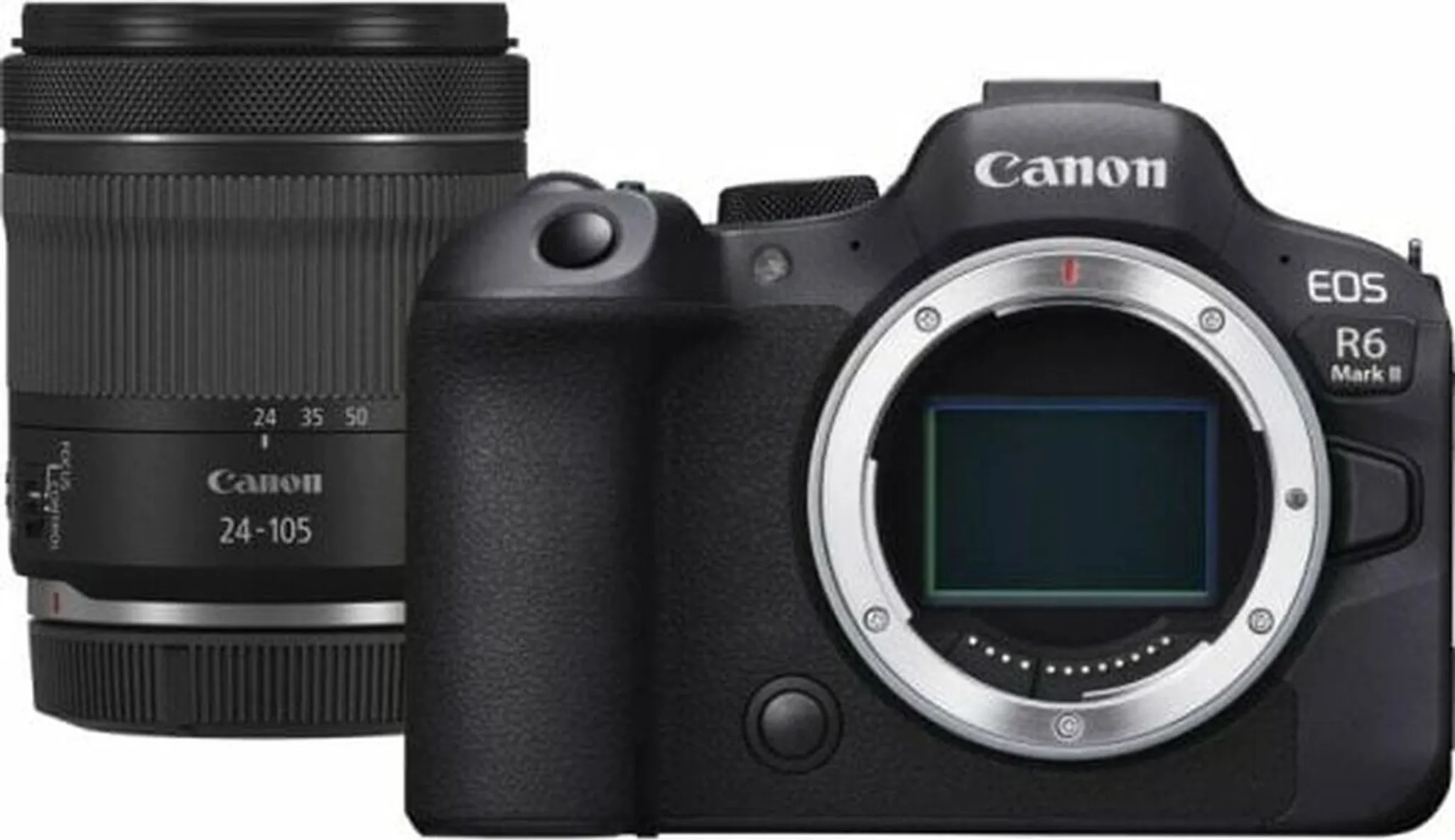 CANON EOS R6 MARK II + RF 24-105mm f/4-7.1 IS STM – Bild 10
